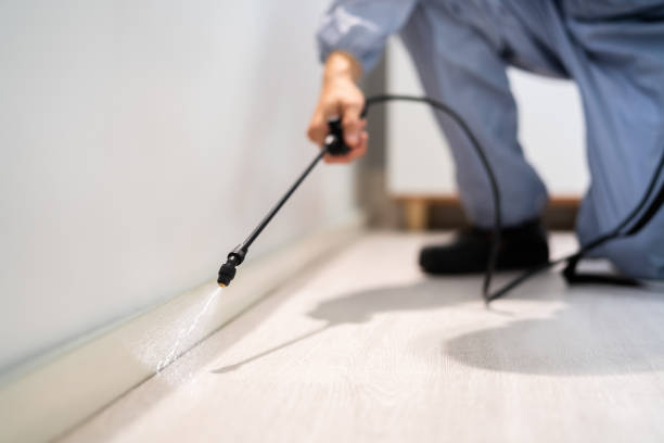 Professional exterminator conducting IPM assessment in Markle