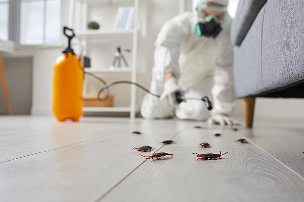 Commercial Rodent Management in Markle